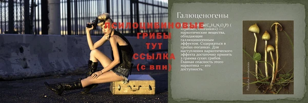 индика Зеленокумск