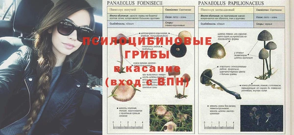 спиды Зерноград