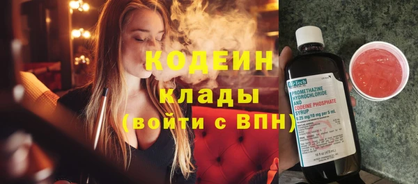 индика Зеленокумск