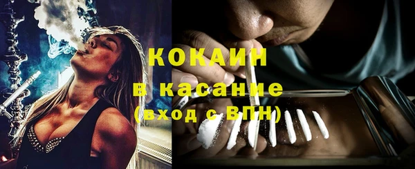 индика Зеленокумск