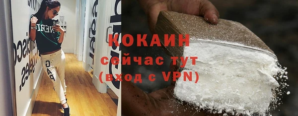 индика Зеленокумск