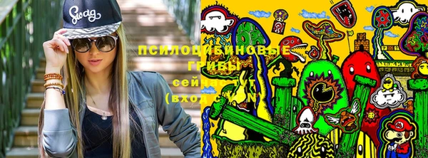 индика Зеленокумск