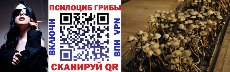 Купить закладки  Можайск  Галлюциногенные грибы ЛСД 